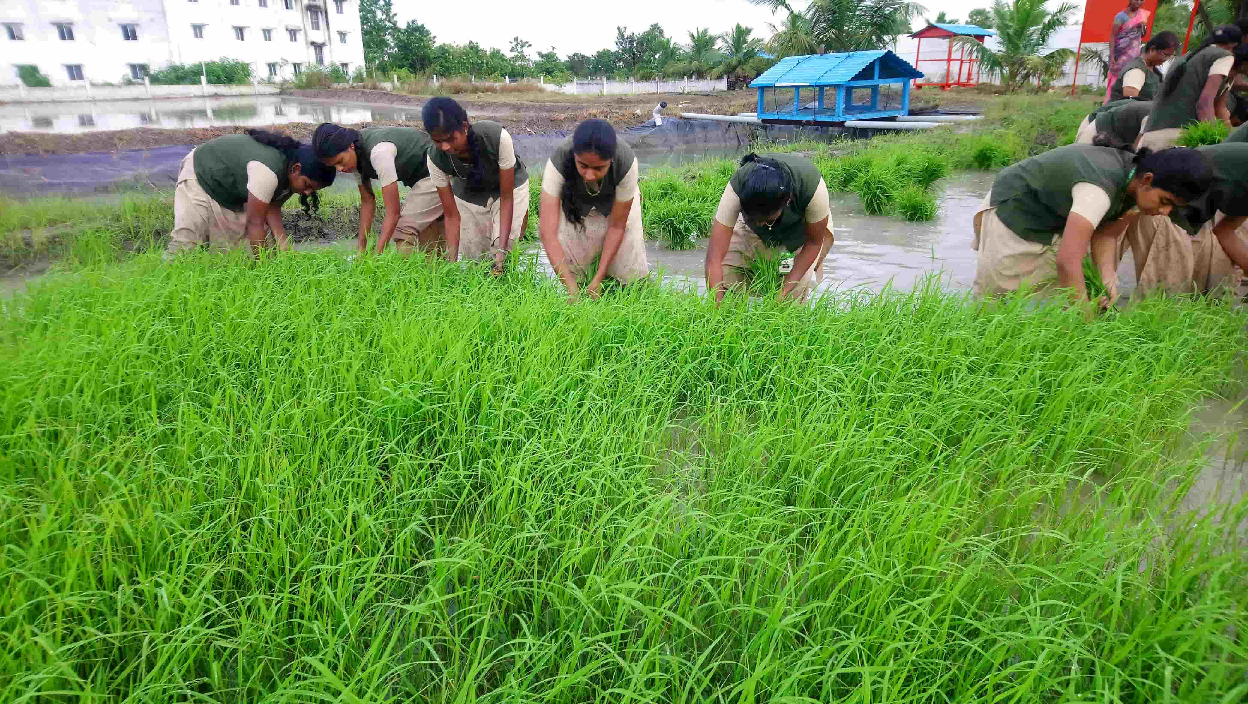 JSA College of Agriculture and Technology